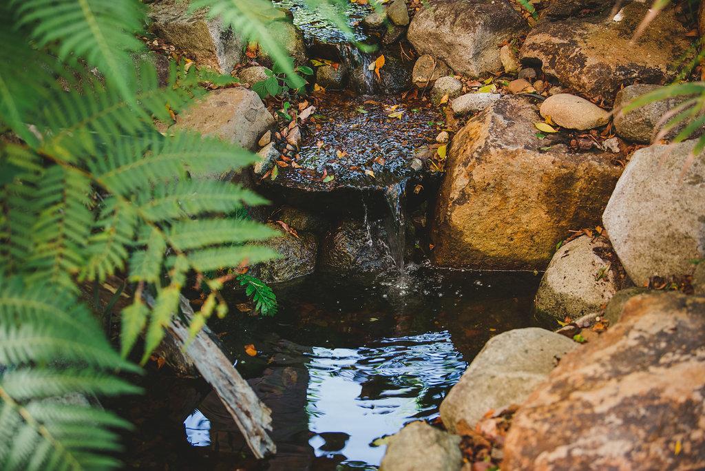 Noosa Valley Manor B&B Doonan Eksteriør billede