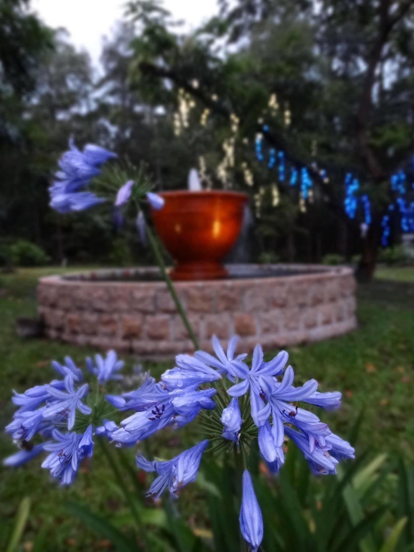 Noosa Valley Manor B&B Doonan Eksteriør billede