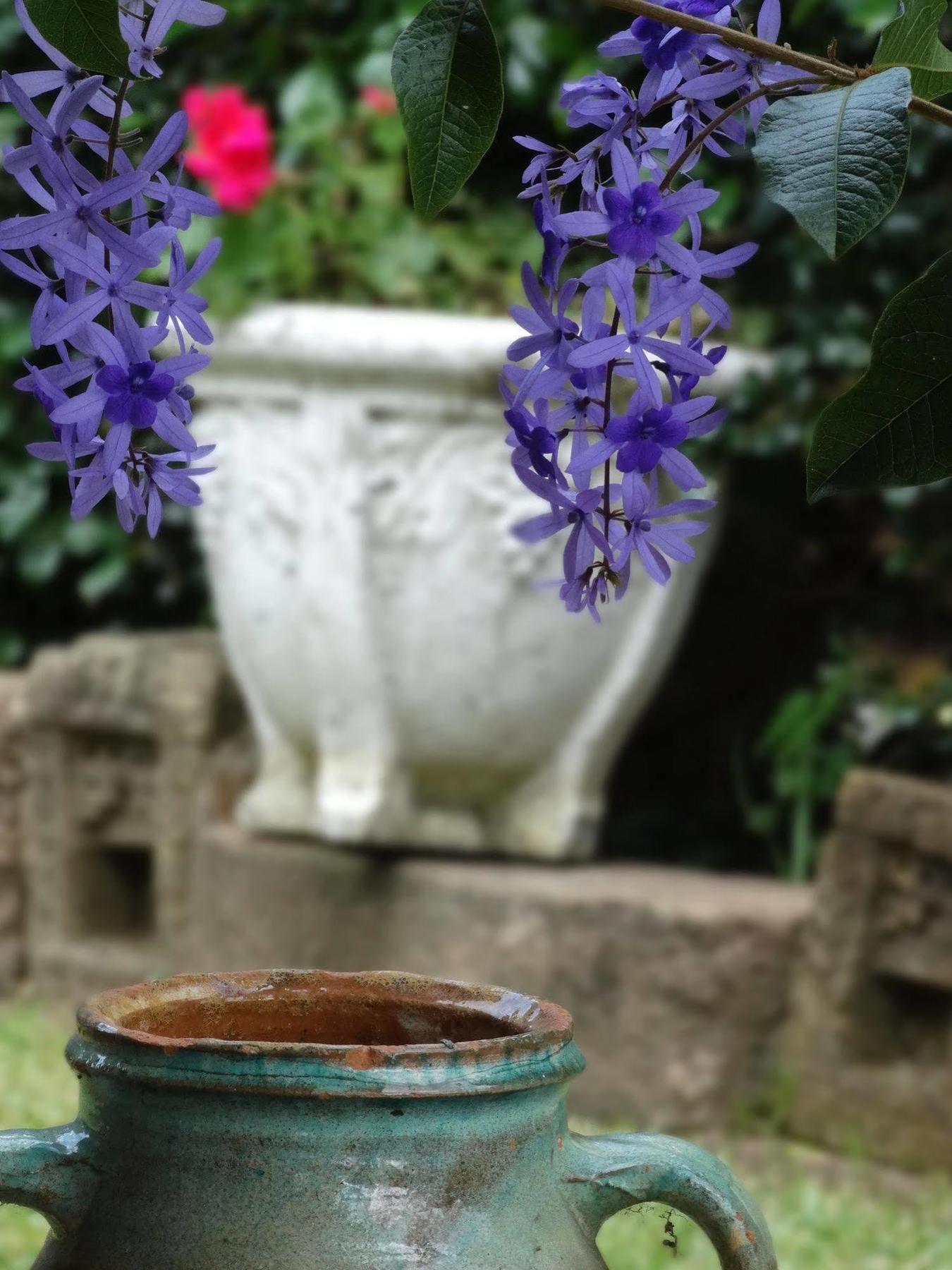Noosa Valley Manor B&B Doonan Eksteriør billede